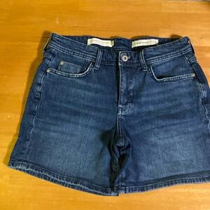 Anthropologie pilcro and the letterpress slim boyfriend size 28 good condition